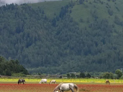 Dhorpatan Hunting Reserve Tour Package