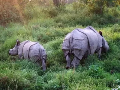 Chitwan Tour Package